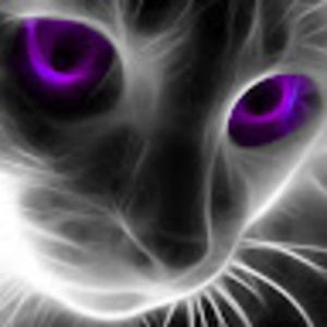 Meet your Posher, Mickey